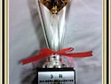 2010 화랑대기 전국 초등학교 축구대회..