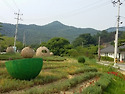 호반 산장.