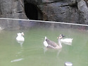 울산 대공원 동물원