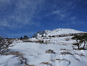 2014.01.17. 한라산 산행
