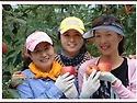 8/28.사과농장 에서