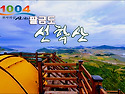 ●팔금도비박(전남신안)