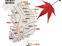 단풍절정기 예상분포도