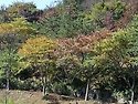 쇠꼴마을과 구리한강 시민공원