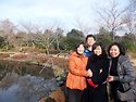 2011년 마지막 날 동백 언덕에서~~