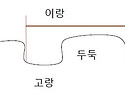 [텃밭용어] 이랑, 고랑, 두둑 같은 말?? 다른 말??