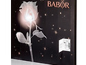 Babor 성탄 앰플