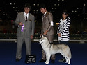 2013 EUKANUBA NATIONAL