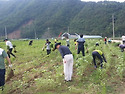 백옥마을 /한국청소년수련원과 해바라기..