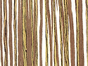 Multicolor Vine 201
