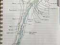 Brachial plexus 그리기 [ 2학년 ..