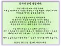 감사 드립니다