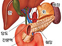 소화기