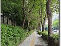 두리랑 산책 길~~~