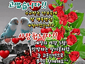 ★오늘도 감사하는 마음★