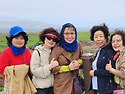 제주5