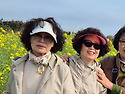 제주6