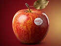 11월 13(금) 만추!! 수덕사,추사고택 & 엔비사과(Envy Apple)