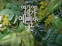 충북 영동 전통시장, 레인보우 식물원, 영동와인터널, 미인계곡, 난계국악당