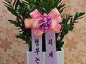 강동구.하남 미사강변도시 꽃집 - 꽃집..