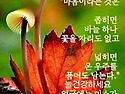 "운명(運命)과 숙명(宿命)..