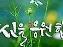 글쓰기전에
