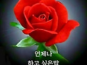 "사시은사(死時隱四)"