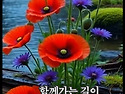 몽환