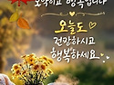 보약