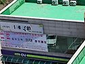 여름이 왔는가?
