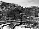 1930년대 직지사 & 1960년대 직지사 ..