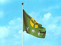 그 시절 새마을운동