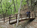 주왕산 답사(2026.05.0..