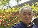 불암산철쭉축제 (2026.4.19)