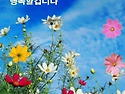 (9.13)토요일에 전하는 힐..