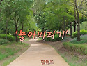 단월드 힐링메시지 ' 장애를 두려워 말라'