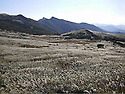 제493회 정기산행 [2026. 11. 7. ] 울주군 간월산, 신불산 (1,159m)