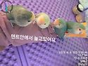 예쁜아이들이랑 낚시1박갔습니다