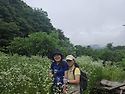 6월20일 충북 단양 금수산..