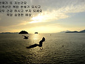 송구영신