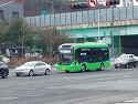 대전버스 42번 전기버스 신차 외