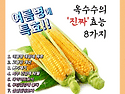 여름병에 특효!! 옥수수의 '진짜' 효..