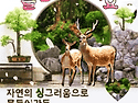 "100세 인생~!" 즐거운 노년을 위하여..