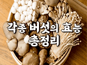 각종 버섯의 효능 총정리