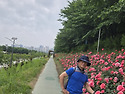 꽃길 걷기
