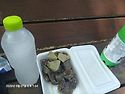 바로 이 맛 아닙니까