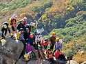 10/14(수)수요산행,,봉제산대장님,,1