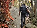 10/15(목)관악 그냥걸었소 대륙의바람대..