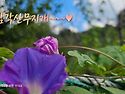 9/3(목) 삼각산무지개/레인보대장님