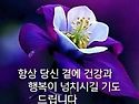 어게인! 다함께! 용강의 ..
